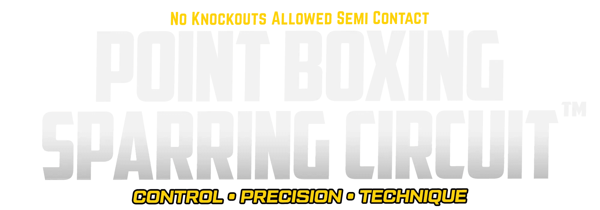 Point Boxing Sparring Circuit — no knockouts allowed, semi contact. Control · Precision · Technique
